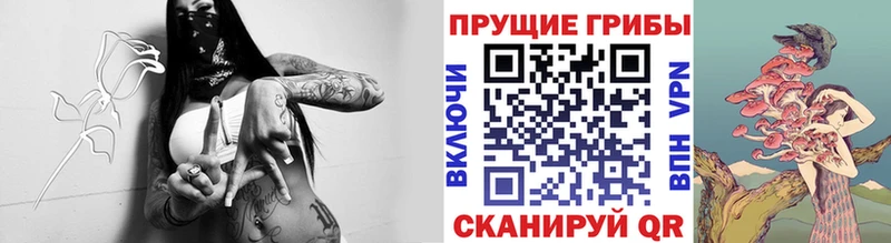 закладки  Гуково  маркетплейс наркотические препараты  Псилоцибиновые грибы мицелий 